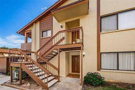 2360 Newburg Ln #B Safety Harbor, FL 34695
