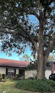 2012 Saginaw Ct Oldsmar, FL 34677