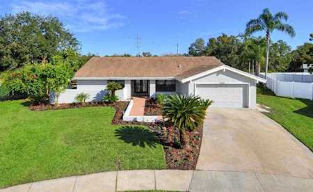 14814 Dartmoor Ln Tampa, FL 33624