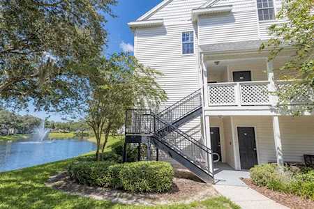 3304 Haviland Ct #302 Palm Harbor, FL 34684