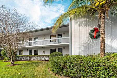 313 Martha Ln #4 Oldsmar, FL 34677