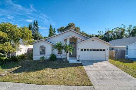 2411 Islander Ct Palm Harbor, FL 34683