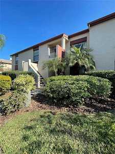 2599 Countryside Blvd #205 Clearwater, FL 33761