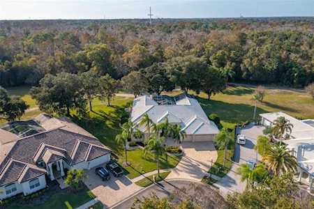 462 Tall Oak Trl Tarpon Springs, FL 34688