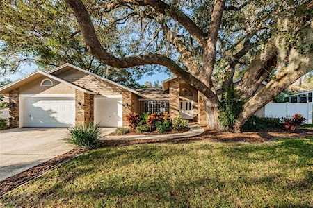 2129 Colusa Ct Palm Harbor, FL 34683