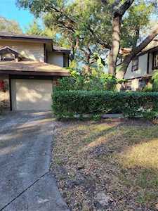 1490 Mahogany Ln #706 Palm Harbor, FL 34683