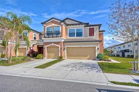 11619 Crowned Sparrow Ln Tampa, FL 33626