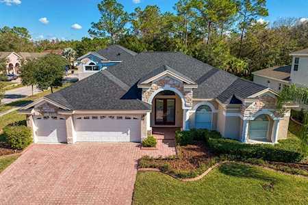 17329 Emerald Chase Dr Tampa, FL 33647