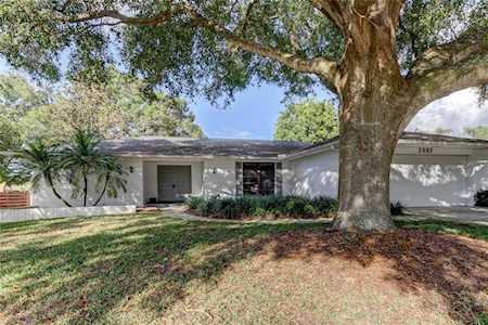 2007 Castille Dr Dunedin, FL 34698