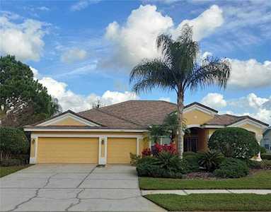 1202 Hagen Dr Trinity, FL 34655