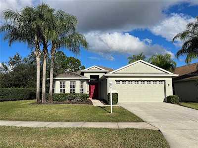 1338 Winding Willow Dr Trinity, FL 34655