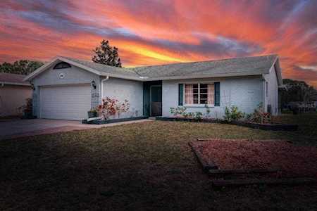 1441 Chesterfield Dr Dunedin, FL 34698