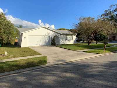 1613 E Groveleaf Ave Palm Harbor, FL 34683