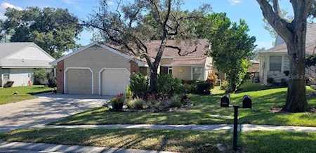 3284 Cloverplace Dr #18 Palm Harbor, FL 34684