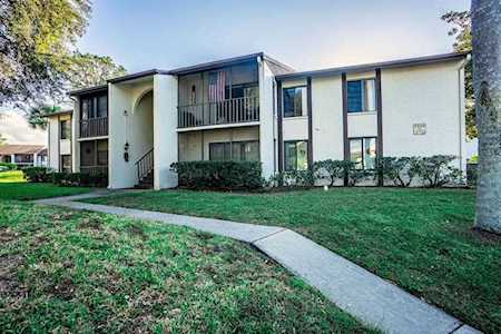 2666 Pine Ridge WAY N #D2 Palm Harbor, FL 34684