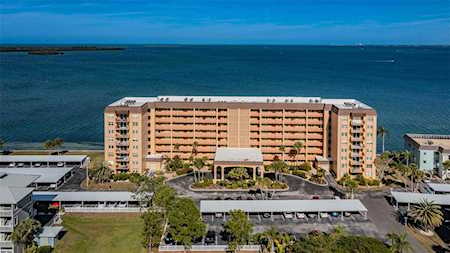 9 Haig PLACE #202 Dunedin, FL 34698