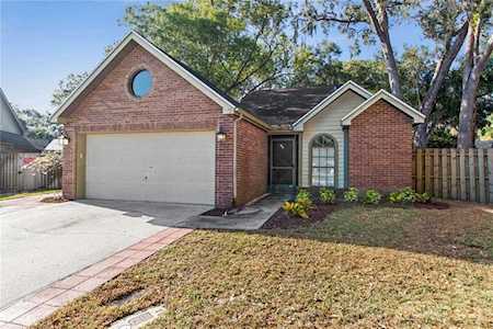 602 Greenglen Ln Palm Harbor, FL 34684