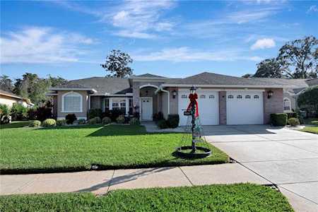 6626 Garden Palm Ct New Port Richey, FL 34655