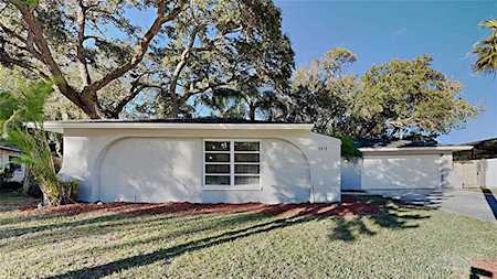 3412 Dove Hollow Ct Palm Harbor, FL 34683