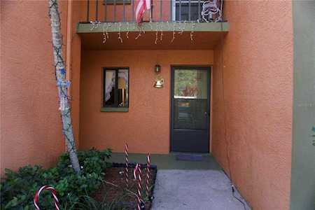 2344 Lake Heather Heights Ct #102 Dunedin, FL 34698
