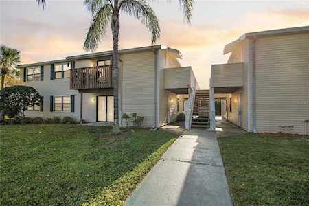 123 Loblolly Ct #G Oldsmar, FL 34677