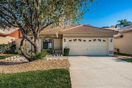 5540 Greyston St Palm Harbor, FL 34685