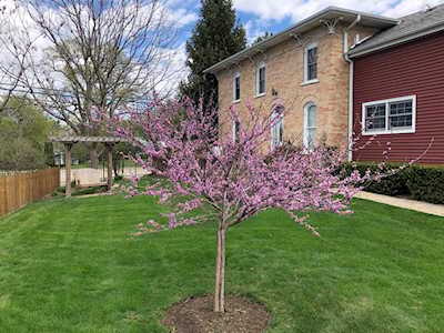 34375 N Bobolink Trl Grayslake, IL 60030