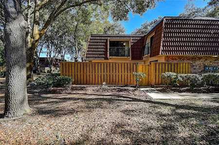 2716 11th Ct Palm Harbor, FL 34684
