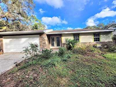 2437 Navarez Ave Safety Harbor, FL 34695