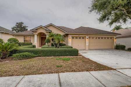 1927 Riveredge Dr Tarpon Springs, FL 34689