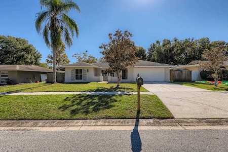 208 Lotus Dr Safety Harbor, FL 34695