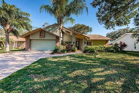3663 Hollow Trail Ct Palm Harbor, FL 34684