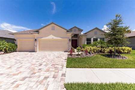 909 Bee Branch Ct Palm Harbor, FL 34683
