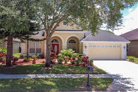 3018 Northfield Dr Tarpon Springs, FL 34688