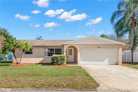 3105 Winchester Dr Dunedin, FL 34698