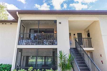 3400 Crystal Ct W #M Palm Harbor, FL 34685