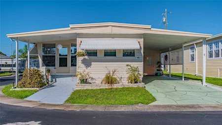 1500 County Road 1 #43 Dunedin, FL 34698
