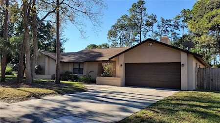 9142 Palm Tree Dr Windermere, FL 34786