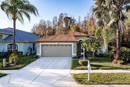 12043 Yellow Finch Ln Trinity, FL 34655