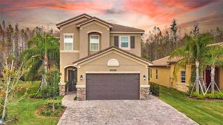 31070 Lindentree Dr Wesley Chapel, FL 33543