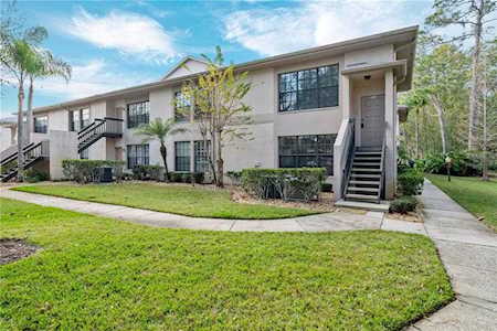 3382 Mermoor Dr #3201 Palm Harbor, FL 34685