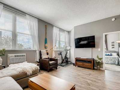 215 7th Street NE #308 Minneapolis, MN 55413