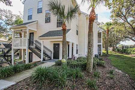 3260 Haviland Ct #203 Palm Harbor, FL 34684