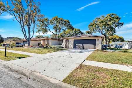 4125 Riverwood Dr New Port Richey, FL 34653