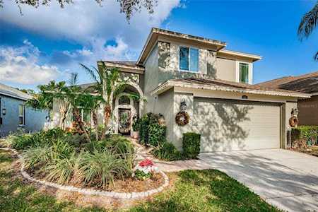 4427 Sawgrass Dr Palm Harbor, FL 34685