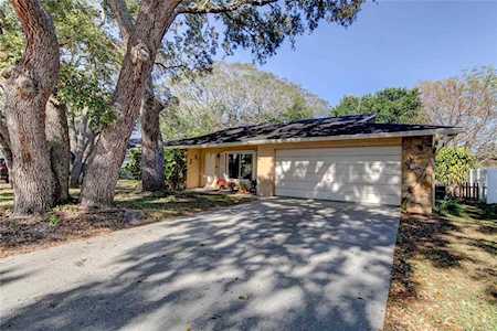 6331 Shane Ln New Port Richey, FL 34653