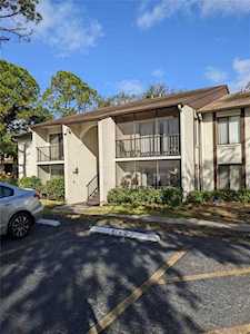 2523 Pine Ridge WAY S #A2 Palm Harbor, FL 34684