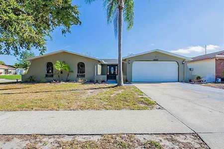 11204 Peppertree Ln Port Richey, FL 34668