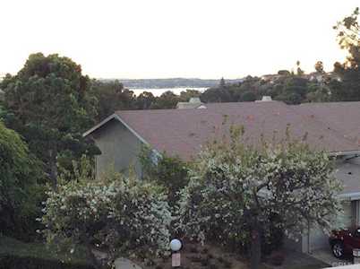 2115 Caminito Circulo Norte La Jolla, CA 92037