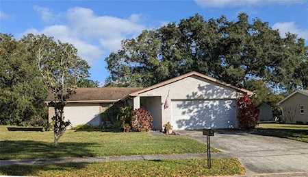 1427 Queen Anne Blvd Palm Harbor, FL 34684